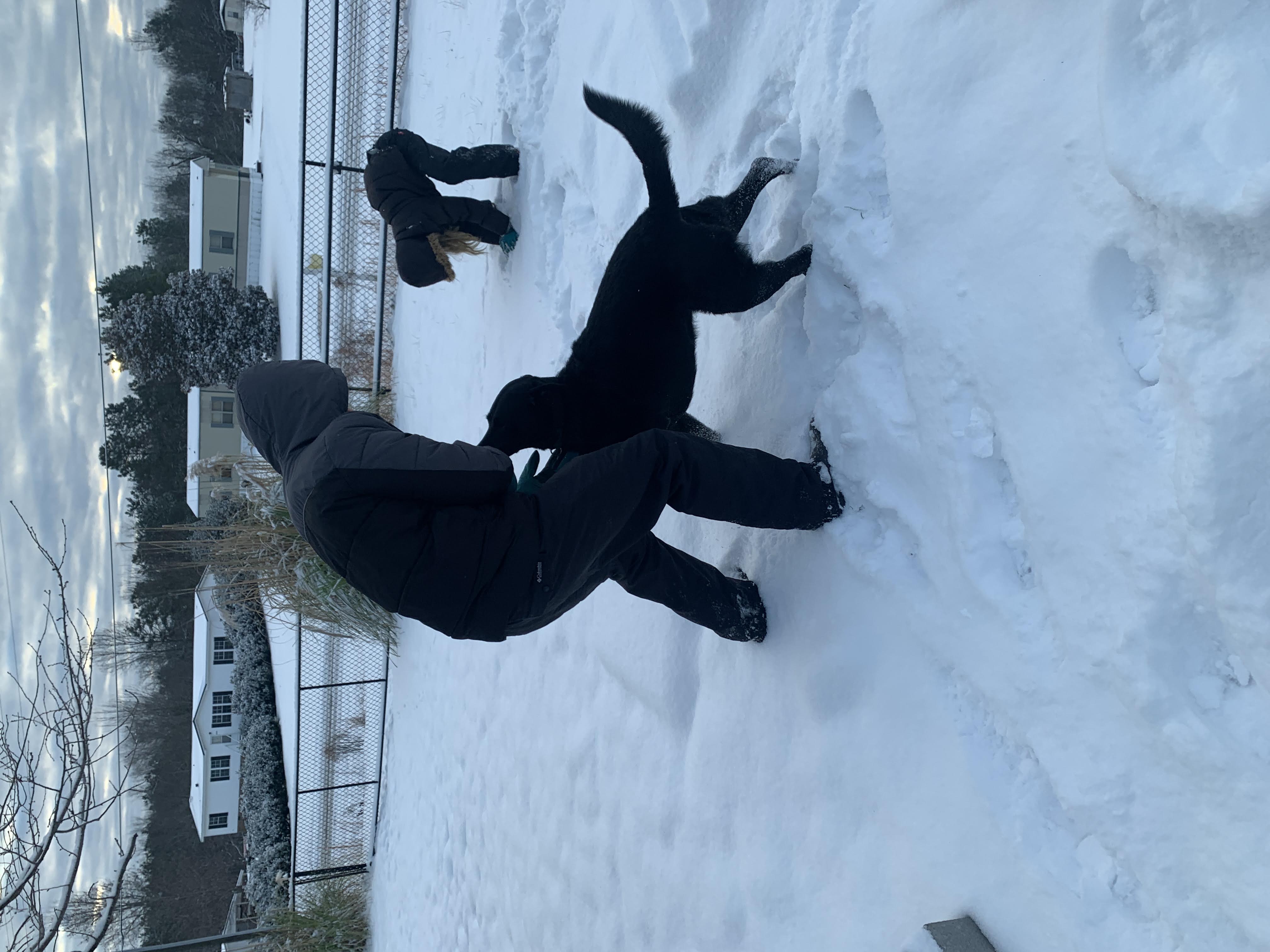 Snowday